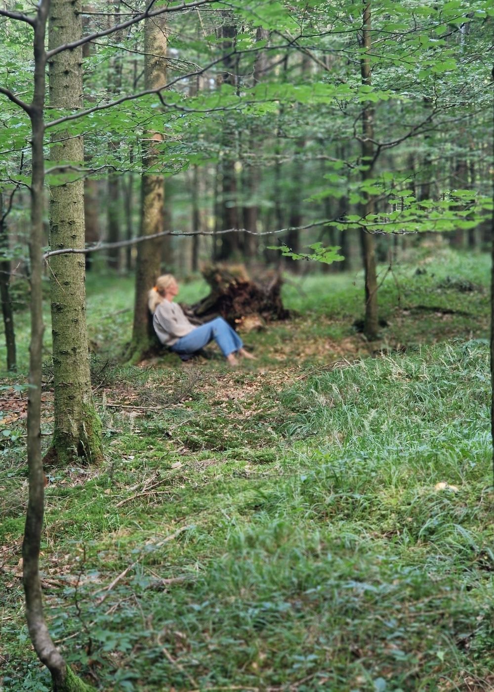 sanftmutig Andrea Rosenlechner WaldFÜHLUNG