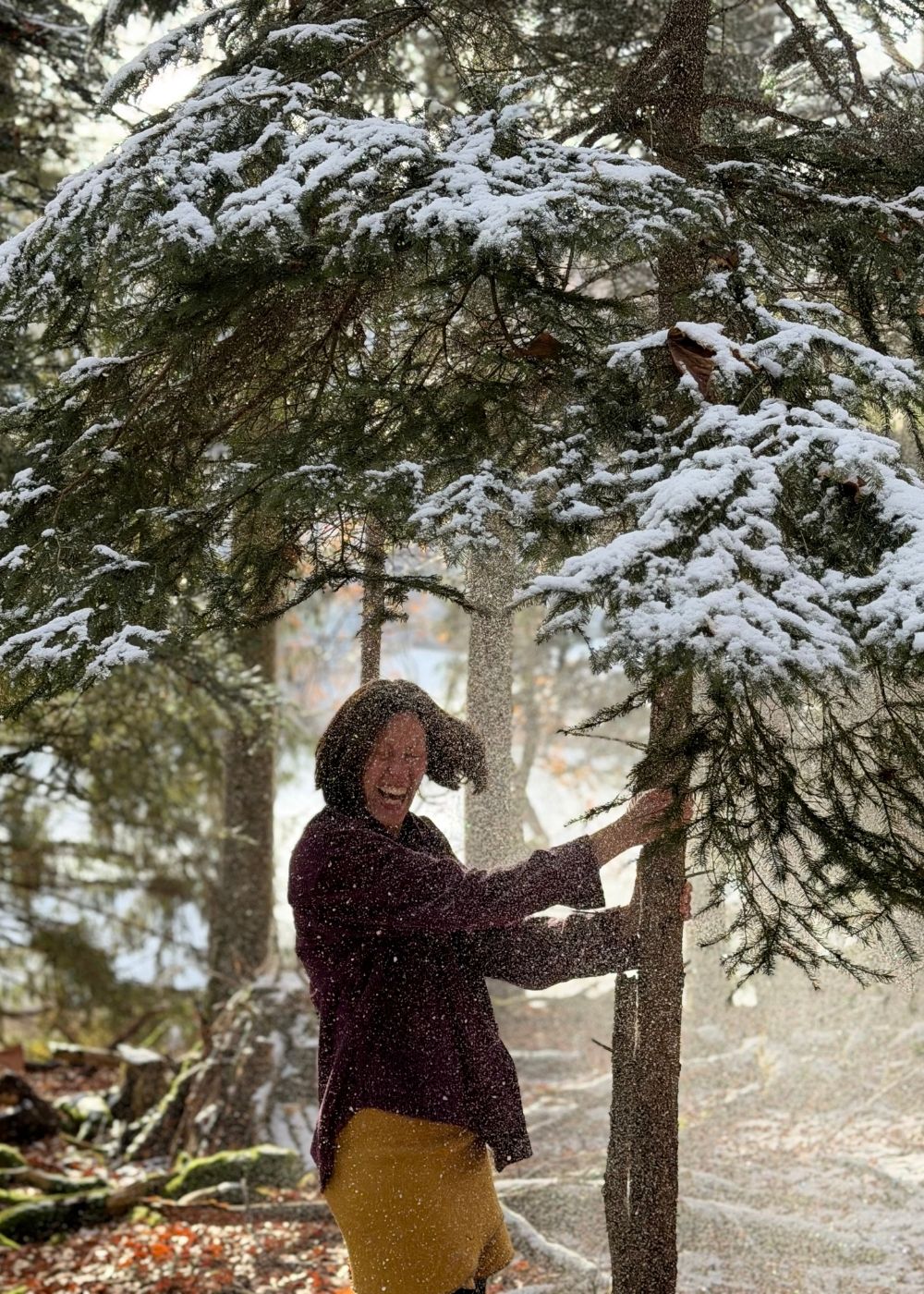 sanftmutig Andrea Rosenlechner WaldFÜHLUNG